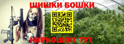 сатива Будённовск