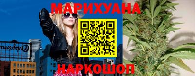 сатива Будённовск